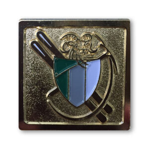 ACC Logo Pin